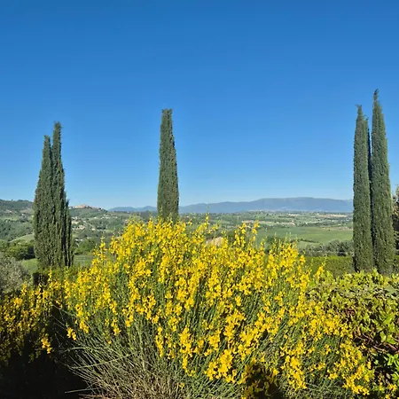 La Dimora Di Bacco Appartement